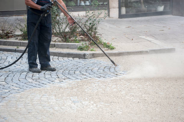Best Animal Enclosure Cleaning  in Moorhead, MN